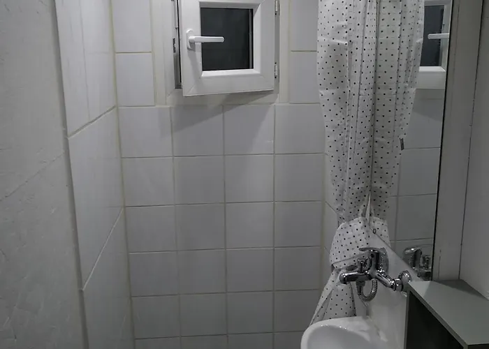 Nature Sous Les Chataigniers *