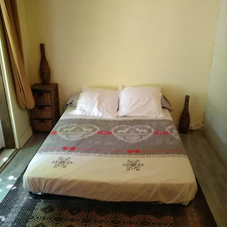 Nature Sous Les Chataigniers *