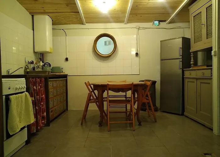 Nature Sous Les Châtaigniers