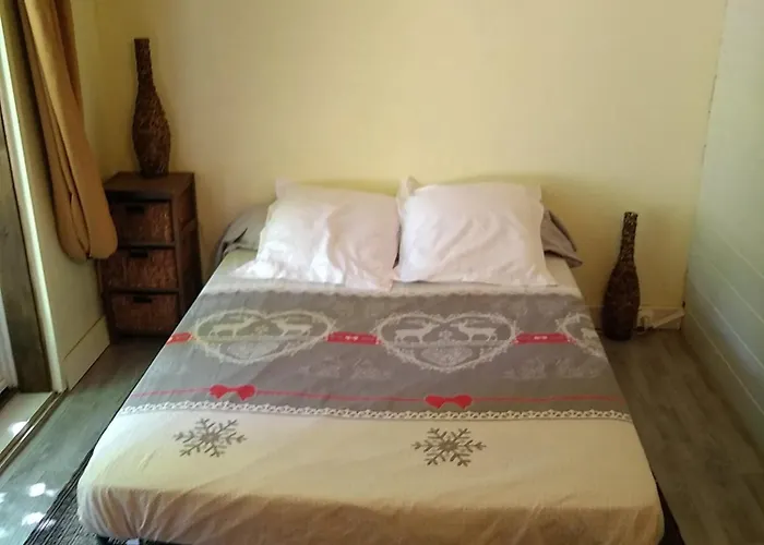 Nature Sous Les Chataigniers *