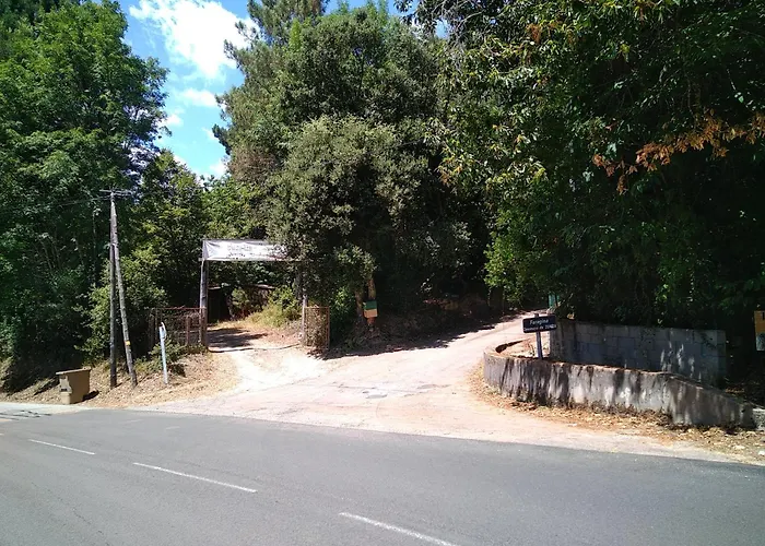 Holiday home Nature Sous Les Chataigniers Zonza